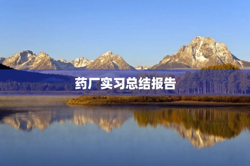药厂实习总结报告