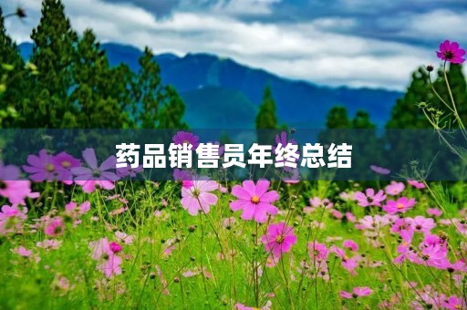 药品销售员年终总结