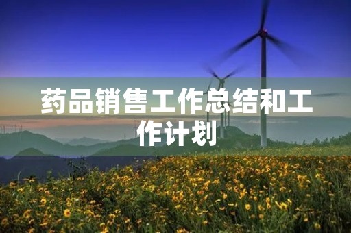 药品销售工作总结和工作计划
