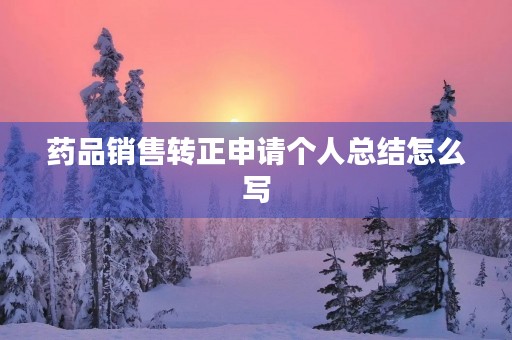 药品销售转正申请个人总结怎么写