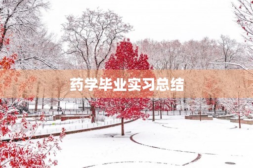 药学毕业实习总结
