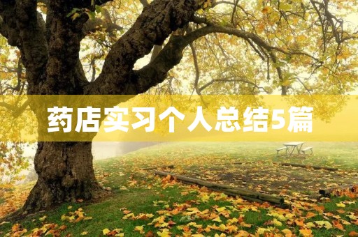 药店实习个人总结5篇