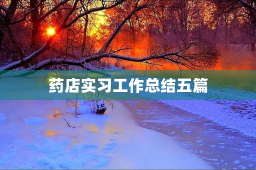 药店实习工作总结五篇
