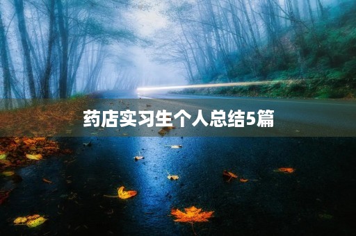 药店实习生个人总结5篇