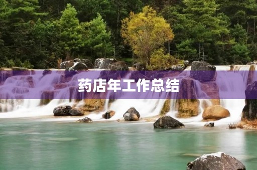 药店年工作总结