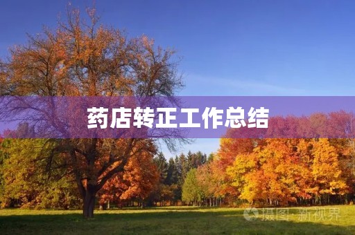 药店转正工作总结