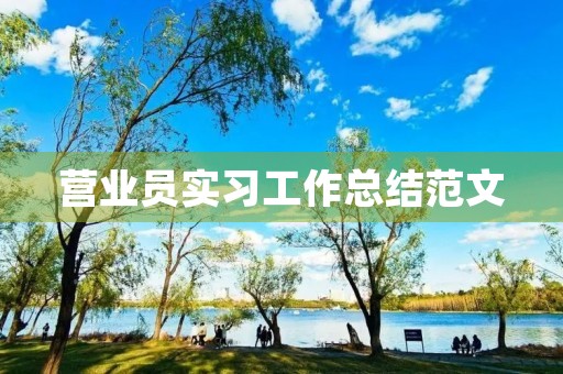 营业员实习工作总结范文 营业员实习工作总结范文