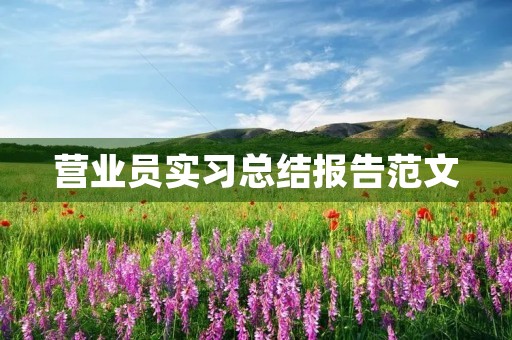 营业员实习总结报告范文 营业员实习总结报告范文