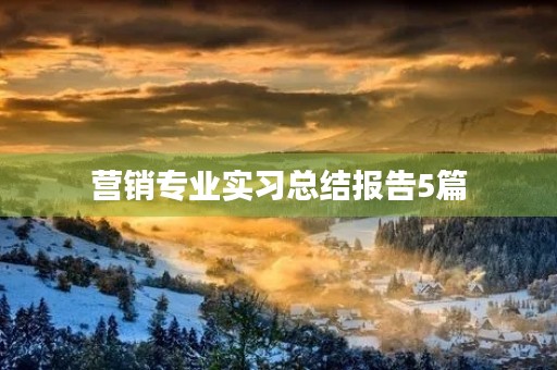 营销专业实习总结报告5篇