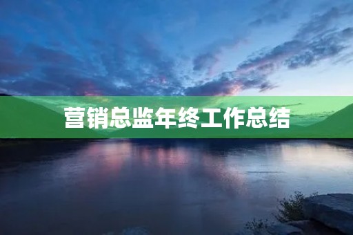 营销总监年终工作总结