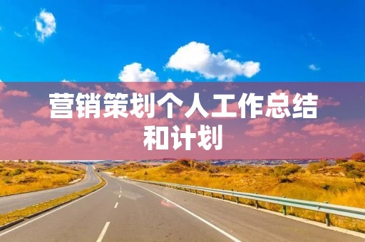 营销策划个人工作总结和计划