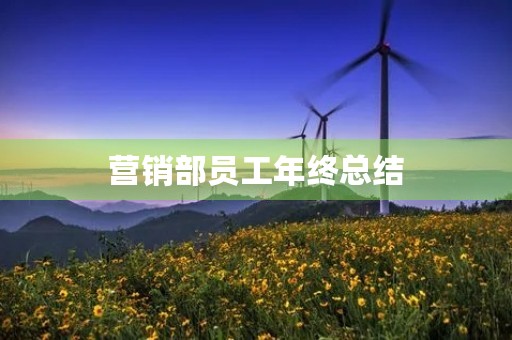 营销部员工年终总结