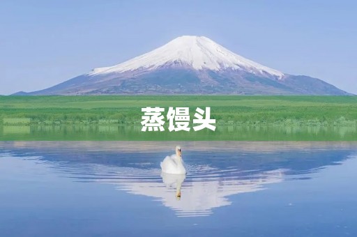 蒸馒头 蒸馒头