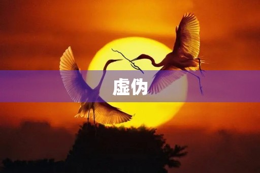 虚伪