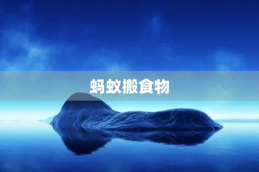 蚂蚁搬食物