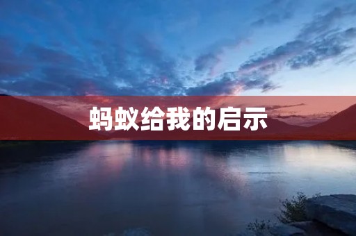 蚂蚁给我的启示