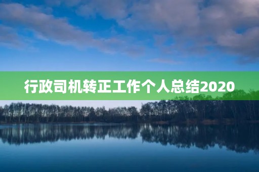 行政司机转正工作个人总结2020