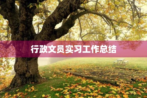 行政文员实习工作总结（5篇）