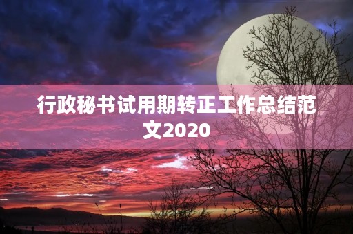 行政秘书试用期转正工作总结范文2020