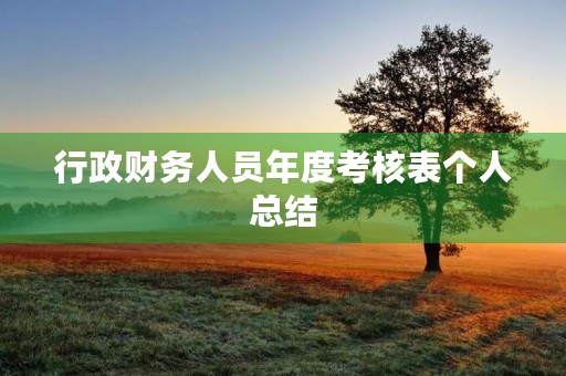 行政财务人员年度考核表个人总结