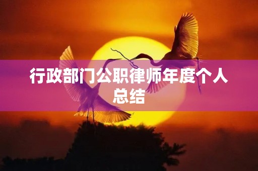 行政部门公职律师年度个人总结