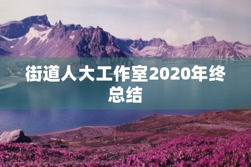 街道人大工作室2020年终总结