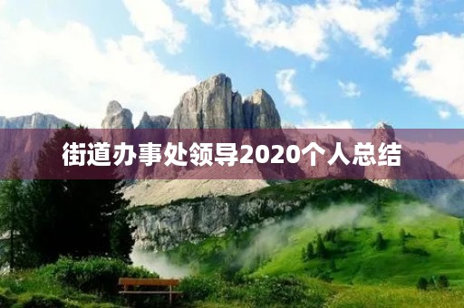 街道办事处领导2020个人总结