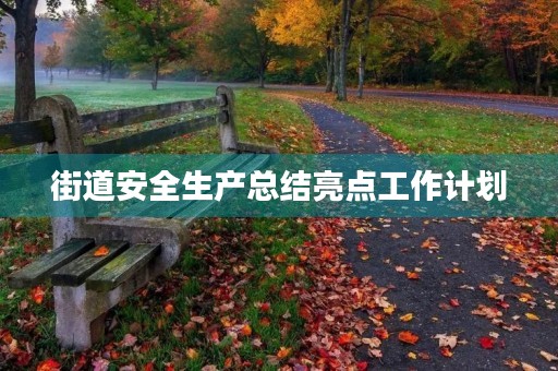 街道安全生产总结亮点工作计划 街道安全生产总结亮点工作计划