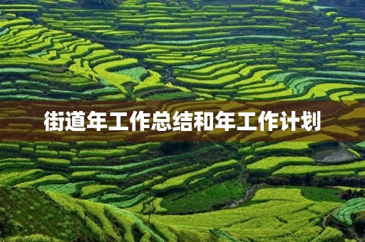 街道年工作总结和年工作计划