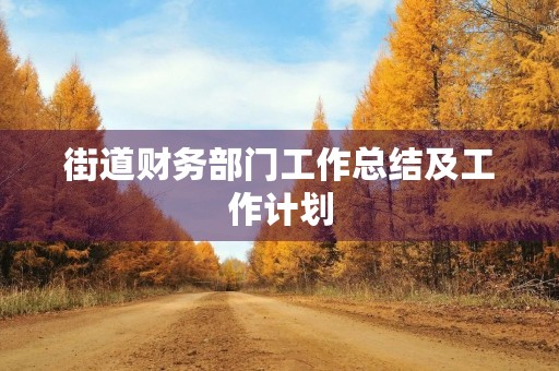 街道财务部门工作总结及工作计划