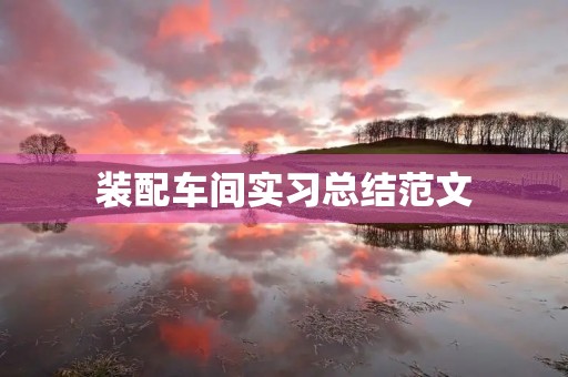 装配车间实习总结范文