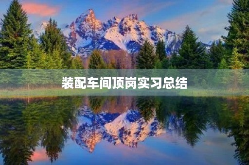 装配车间顶岗实习总结