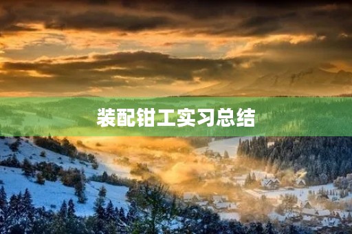 装配钳工实习总结