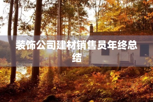 装饰公司建材销售员年终总结