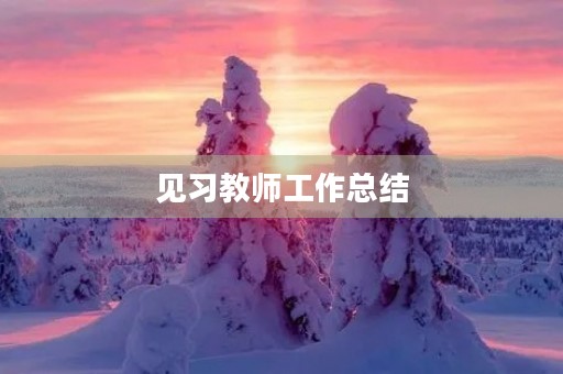 见习教师工作总结