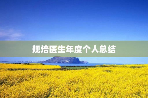 规培医生年度个人总结