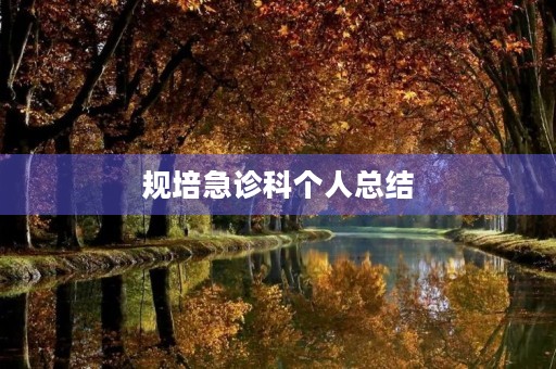规培急诊科个人总结