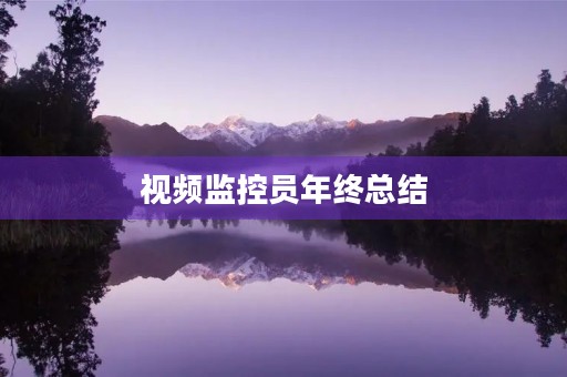 视频监控员年终总结
