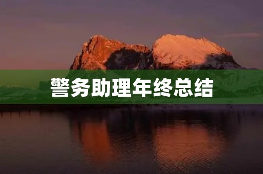 警务助理年终总结 警务助理年终总结