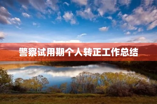 警察试用期个人转正工作总结