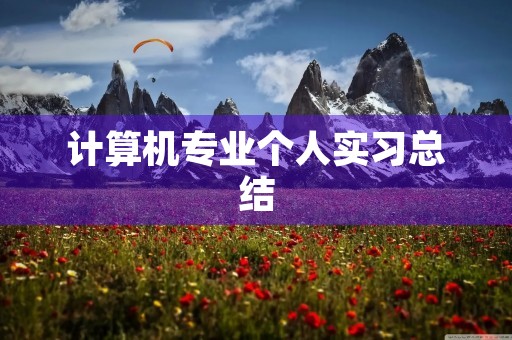 计算机专业个人实习总结