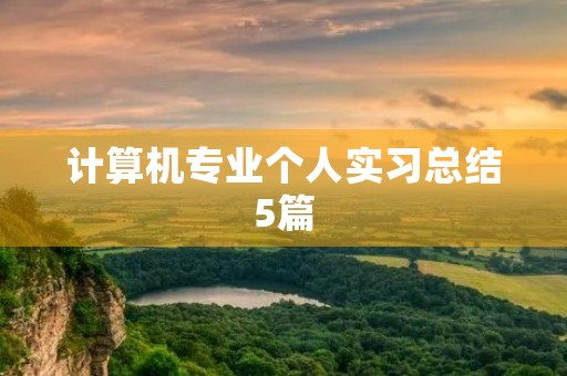 计算机专业个人实习总结5篇