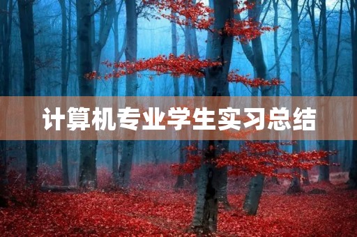 计算机专业学生实习总结
