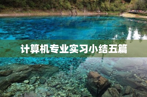 计算机专业实习小结五篇