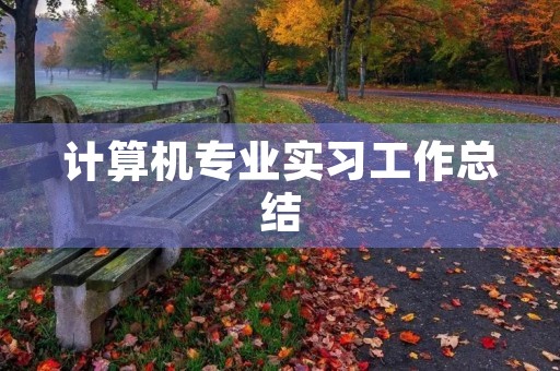 计算机专业实习工作总结