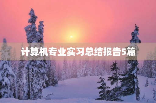 计算机专业实习总结报告5篇