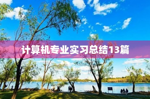 计算机专业实习总结13篇