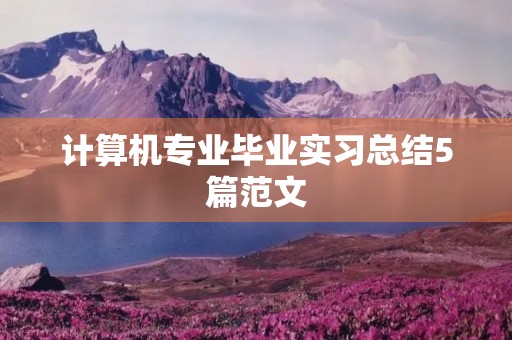 计算机专业毕业实习总结5篇范文