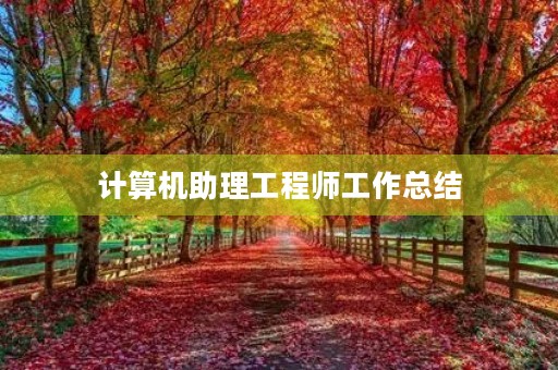 计算机助理工程师工作总结