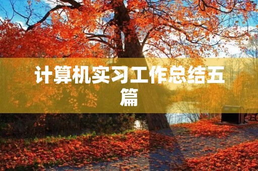 计算机实习工作总结五篇 计算机实习工作总结五篇